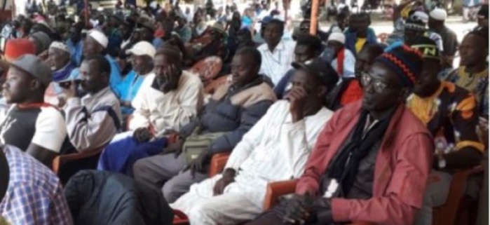 Processus de paix en Casamance : une rencontre organisée ce jeudi en Gambie Processus de paix en Casamance : une rencontre organisée ce jeudi en Gambie