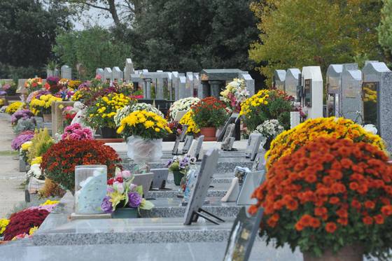 ​Célébration de la Toussaint : une fête qui magnifie la vie et l’œuvre des saints dans le christ