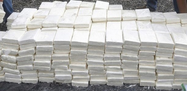 Drogue saisie par l'armée : Le présumé cerveau identifié