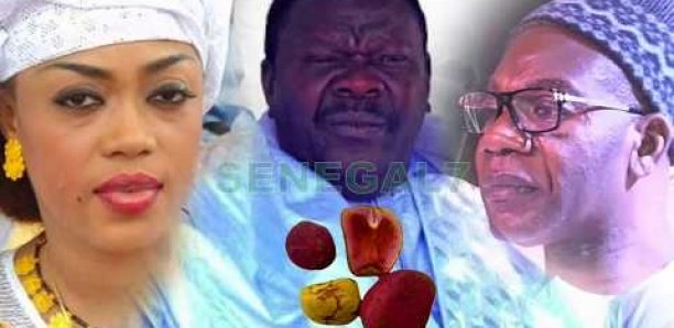 Medinatoul Salam : Sokhna Bator titille le camp de Serigne Saliou Thioune