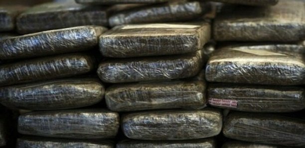 DROGUE: La police saisit 41 kilos «Brown» de chanvre indien