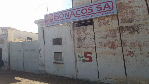 Sonacos Kaolack : les travailleurs dénoncent la mise en arrêt de travail de 347 saisonniers