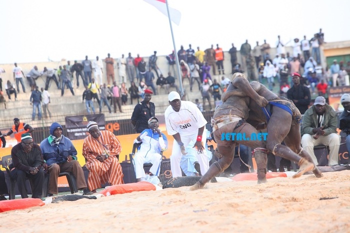 REGARDEZ. Les images du combat Balla Gaye 2 Vs Yékini