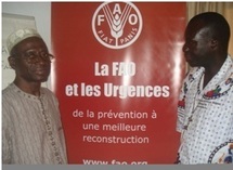 KOLDA : La FAO et les urgences de la prévention à une meilleure reconstruction