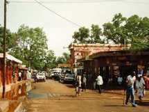 Mbour : L’élevage dans le département de Mbour - Un foirail a problèmes