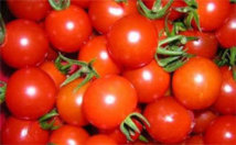 Un chiffre d'affaires de plus de 3 milliards pour la tomate industrielle en 2011-2012