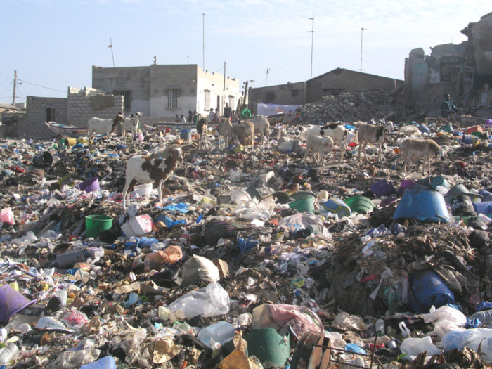 La grève du nettoiement met à nu les parties vulnérables de Dakar
