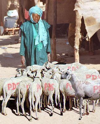 Pour rire: La nouvelle vie de...Wade