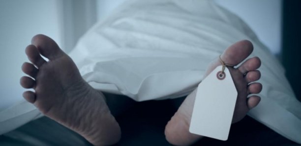 Drame à Ziguinchor / Le corps d’un pêcheur retrouvé dans les rizières.