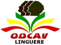 Des polémiques lors du renouvellement des instances de L'ODCAV de Linguère
