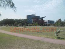 A l’UCAD, la divagation d’animaux fait désordre