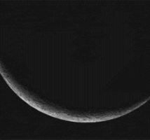 Confréries en crise !