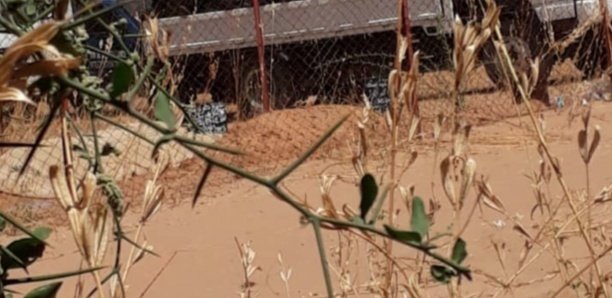 Touba : Premières arrestations dans l'affaire de la dépouille demembrée
