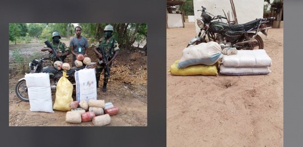 [Photos] Kolda : L'armée met la main sur 4 sacs de chanvre indien