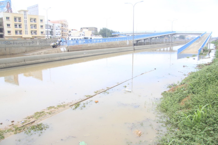 Les Chinois du Sénégal rassemblent 5 millions pour les sinistrés