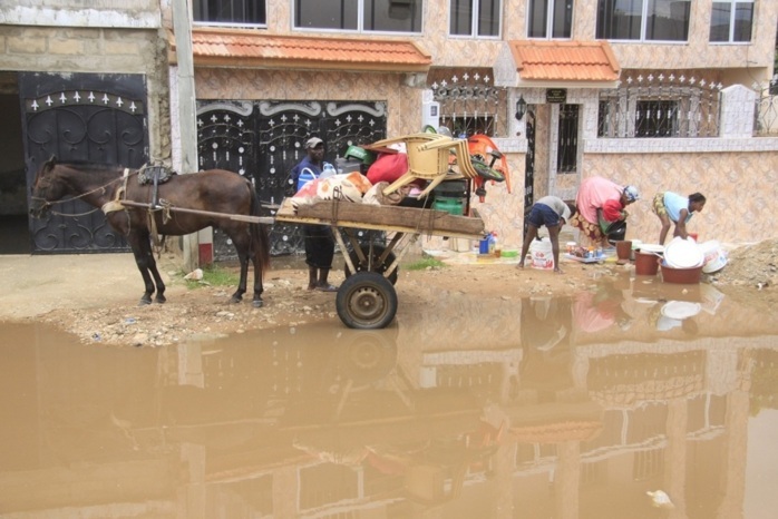 Assistance aux victimes des inondations : L’Association Sopey Serigne Mouhamadou Moustapha Mbacké appuie la Fondation « Servir le Sénégal »