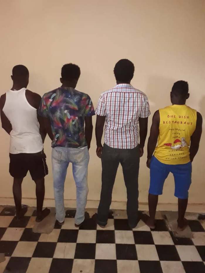 Vol de moutons chez Boy Kaïré / Quatre présumés voleurs arrêtés.