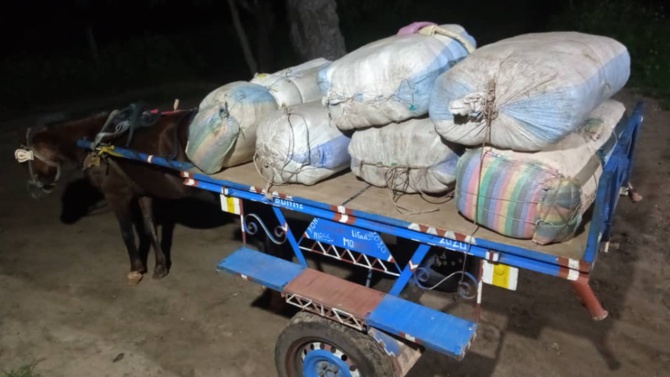 LUTTE CONTRE LE TRAFIC INTERNATIONAL DE STUPEFIANTS: 456 kg de chanvre indien saisis en 24h.