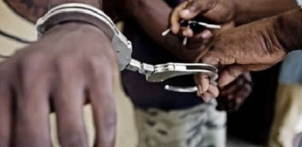 : La police démantèle une bande de fabricants de faux documents de transport et un arsenal pour confection de document.