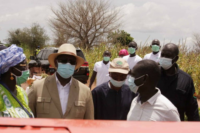 Tournée agricole du président de la République dans le Saloum : Serigne Mboup mobilise les acteurs économiques.