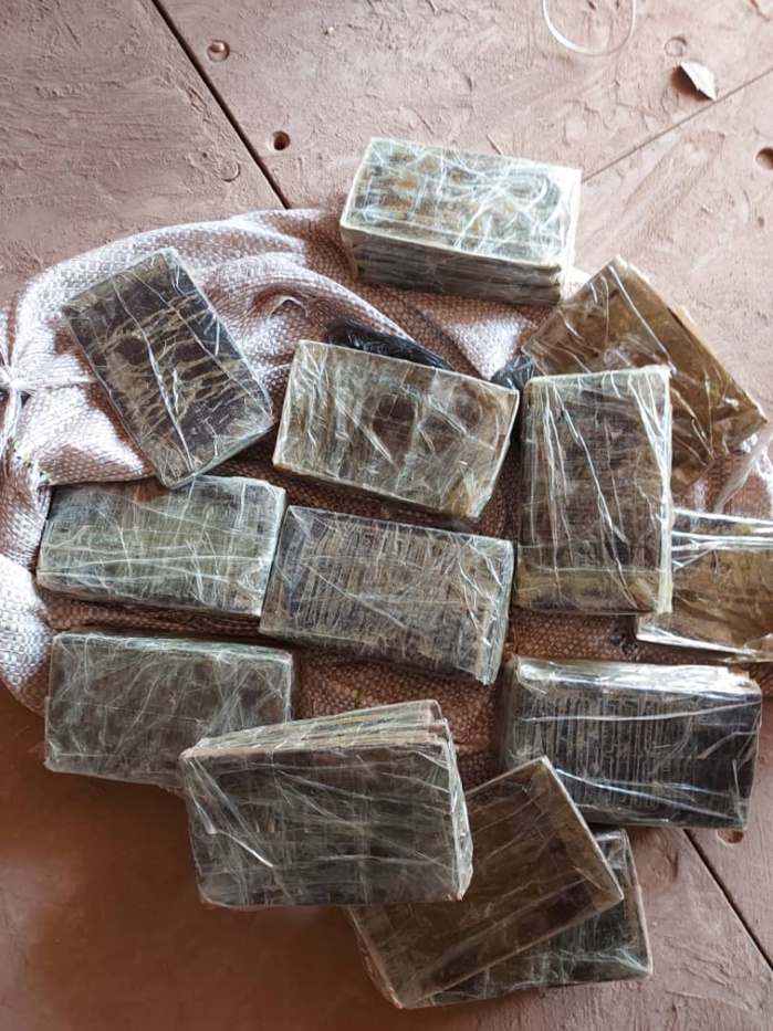 Trafic de drogue : 1 376 kg de chanvre indien et 5 kg de ‘’brown’’ saisis à Kidira