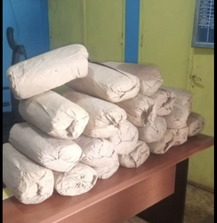 Kaolack : La douane précède à la saisie de plus de 100 kg de chanvre indien d'une valeur de 9 millions 600 mille Fcfa