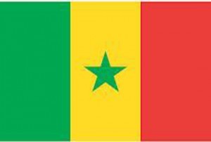 Assistance au peuple malien :   Pape Sidy Ngom dit « Ngom Drapeau » initie une caravane de solidarité