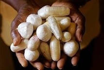 Saisie de 72 boulettes de cocaïne à l’Aéroport Léopold Sédar Senghor