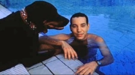 Depuis Dakar Mohammed VI penserait à son chien opéré