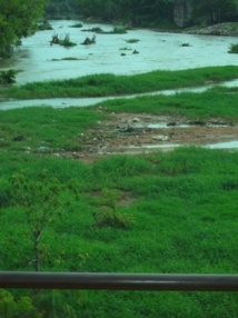 Le fleuve de Kolda, un « trésor économique », en voie de disparition