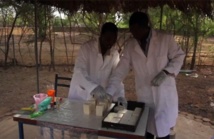 Un savon récompensé pour lutter contre le paludisme