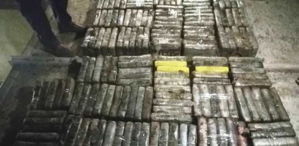 Koungheul : La douane saisit 1 tonne 776 kg de chanvre indien d'une valeur de 106 millions Cfa