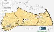 Meeting  Kolda : Des responsables du PDS de Médina Cherif, Mampatim et Dialambéré rallient l’APR