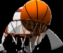 Afrobasket 2013 : les Lionnes dans la poule du pays hôte