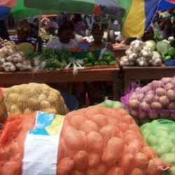Economie-7ème Edition des « Loumas » des Produits Agricoles frais : L’ANIDA déclare la guerre aux  surenchères des intermédiaires