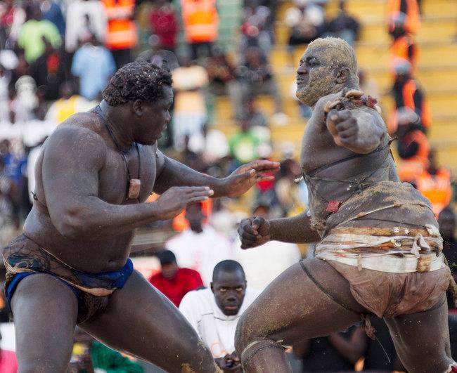 « Il ya trop de sang dans la lutte… », (Technicien)
