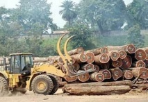 Les exploitants forestiers en deuil : l’explosion d’une jante de pneu fait deux morts