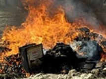 1064 kg de chanvre indien incinérés à Kaffrine 