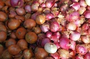 Ousmane Mbaye directeur du commerce intérieur «Pourquoi l’oignon  et la pomme de terre  coûtent chers »