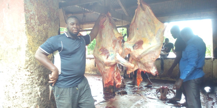 Pénurie de viande à Kolda : Rareté et cherté de la viande, bouchers et tannerie en sursis…