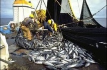 Sénégal : 300 milliards FCFA générés par la pêche en 2012 !