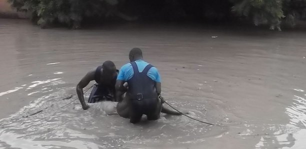 Baignades macabres à Guédiawaye: 18 morts entre mars et juin 2021