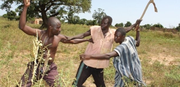Podor : Une bagarre entre deux bergers vire au drame