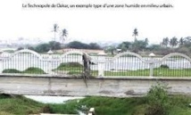 Le site du Technopole abritera l’arène nationale de 20 mille places