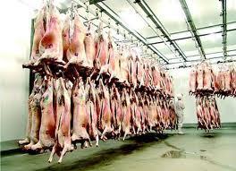 L’abattoir de Touba ou l’histoire d’un joyau de plus de 11 milliards FCFA aux machines grippées par des insectes