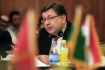 L'ambassadeur turc en Egypte, Huseyin Avni Botsali, le 1er juin 2010 au Caire (AFP/Archives, Khaled Desouki)