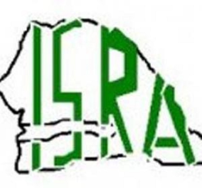 La gestion de l’ISRA du nouveau DG Alioune Fall déjà décriée: Ses détracteurs annoncent un naufrage éminent de l’Institut