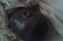 Confession du cousin de Cherif Ndao : « A six reprises, j’ai versé de l’eau dans sa bouche et des boules de sang en sortaient »