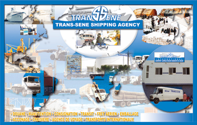 Revendication de leurs 9 mois d’arriérés de salaires: Le collectif des employés de Transsène tient son sit-in et peste