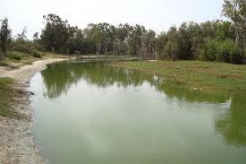 Yeumbeul Sud, un enfant de 10 ans meurt noyé